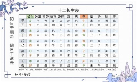 12长生